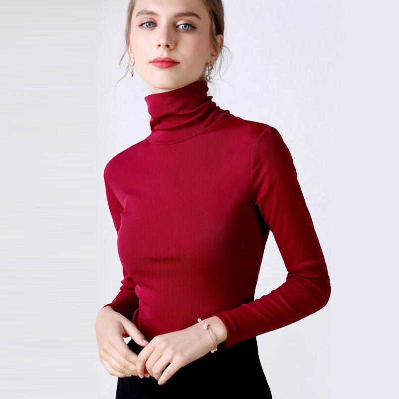 Women's Polyester Turtleneck Long Sleeve Casual Wear Blouse